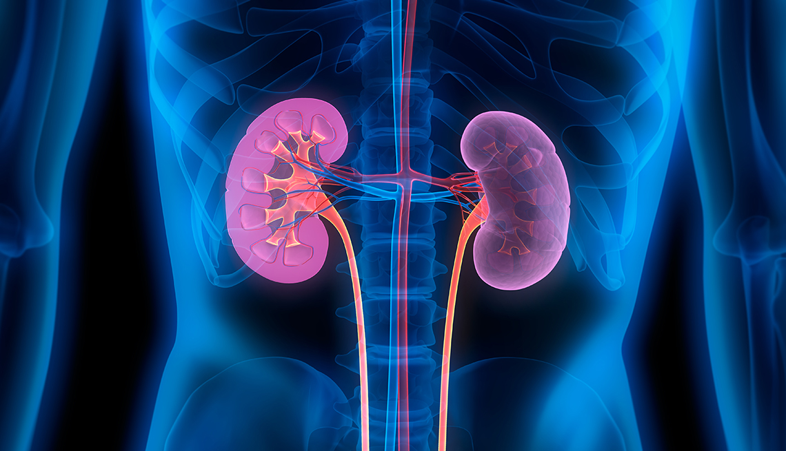 Many people have kidney disease when they are older.